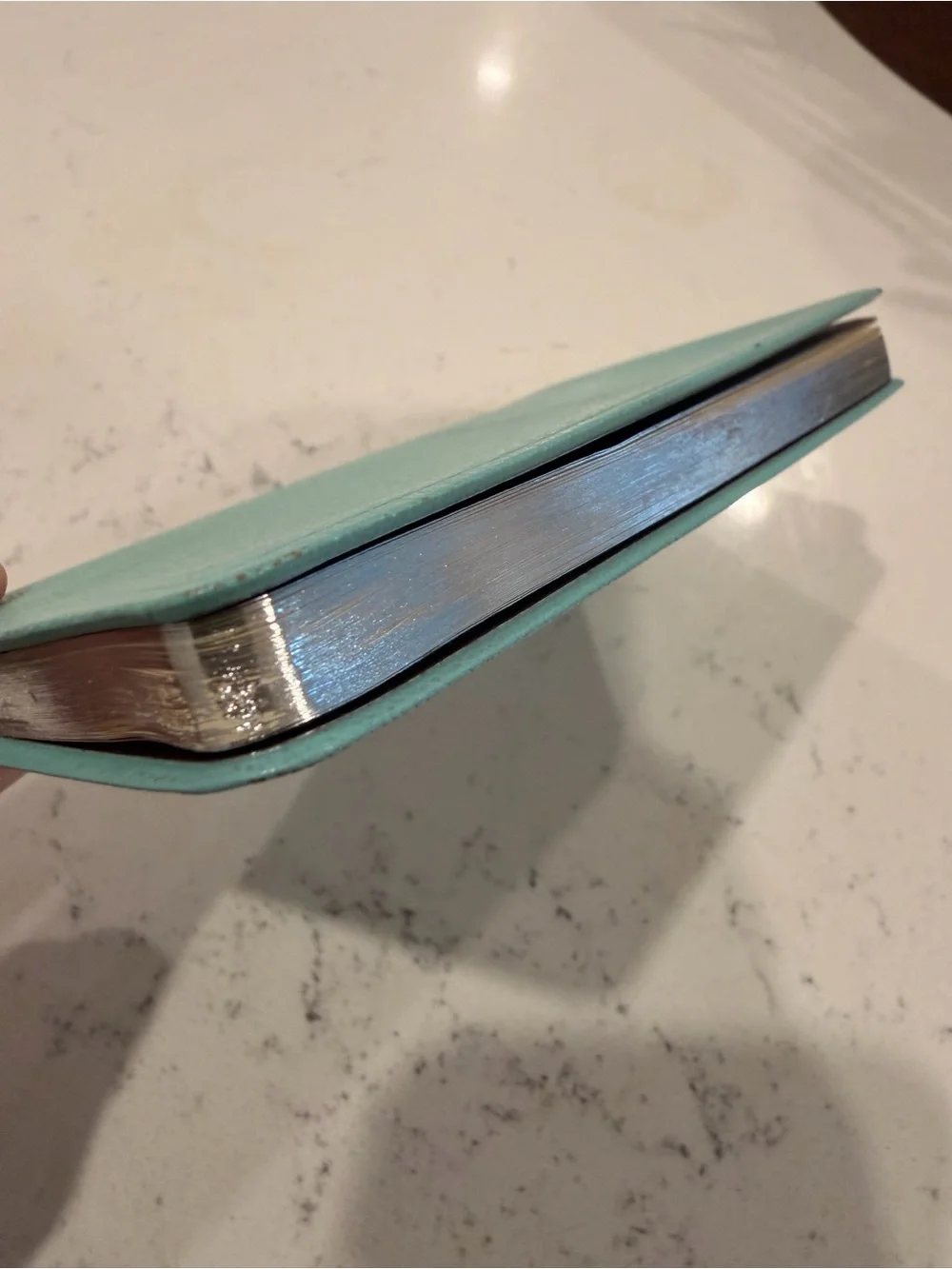 Tiffany & Co. Little Blue Book Leather Journal - Like New 🩵